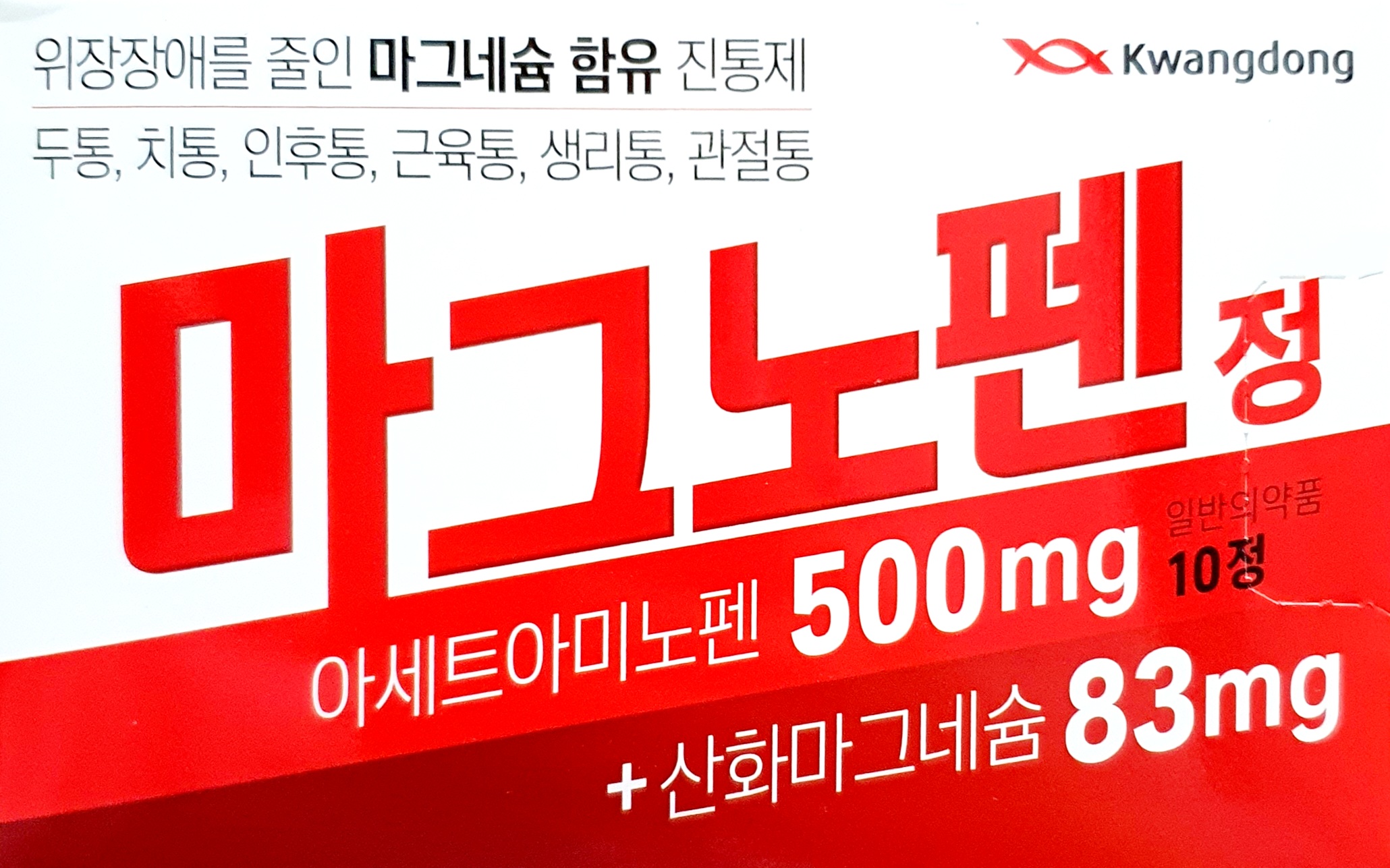 마그노펜정