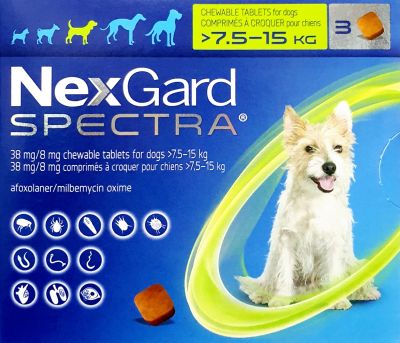 넥스가드스펙트라7.5-15kg
